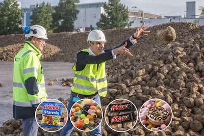 Fabrikanten in dé suiker- en snoepregio vrezen suikertaks