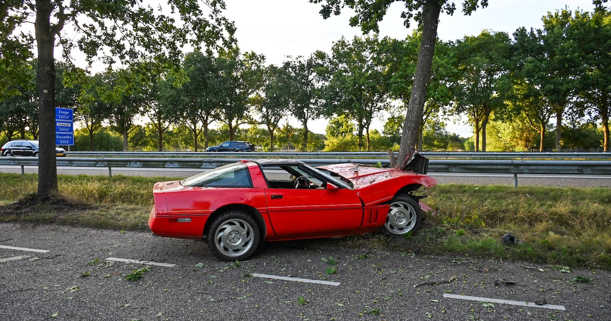 Oldtimer botst tegen boom in Sint Willebrord, bestuurder (54) reed onder invloed van alcohol