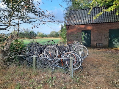 Tientallen fietsen op hun kop in buitengebied Etten-Leur, maar van wie zijn ze? En zijn ze inderdaad gestolen?