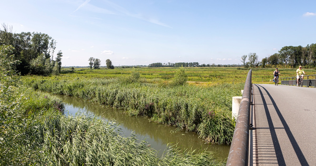 Bruggen op Galeiweg bij Werkendam beschadigd: weg tot eind mei afgesloten