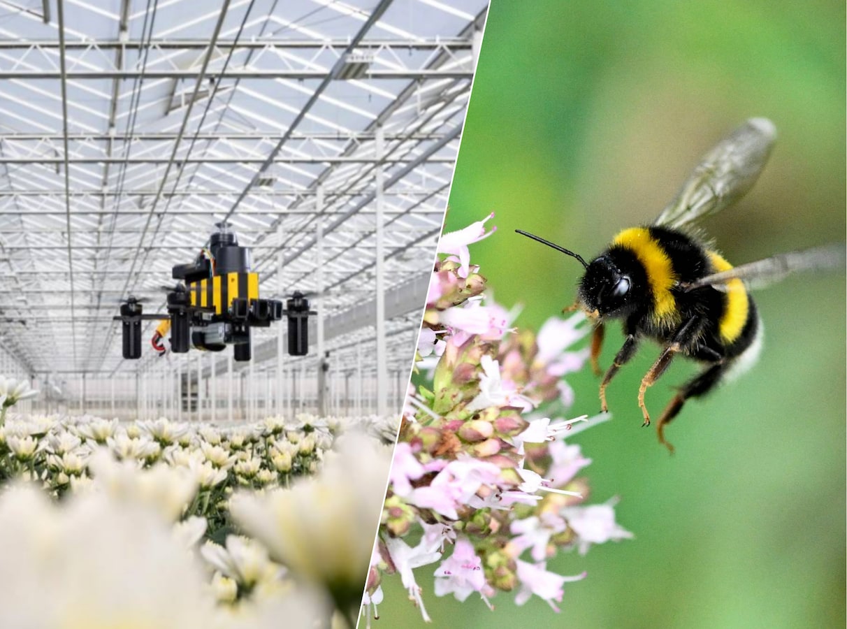 Científicos crean dron inspirado en abejas que navega sin GPS