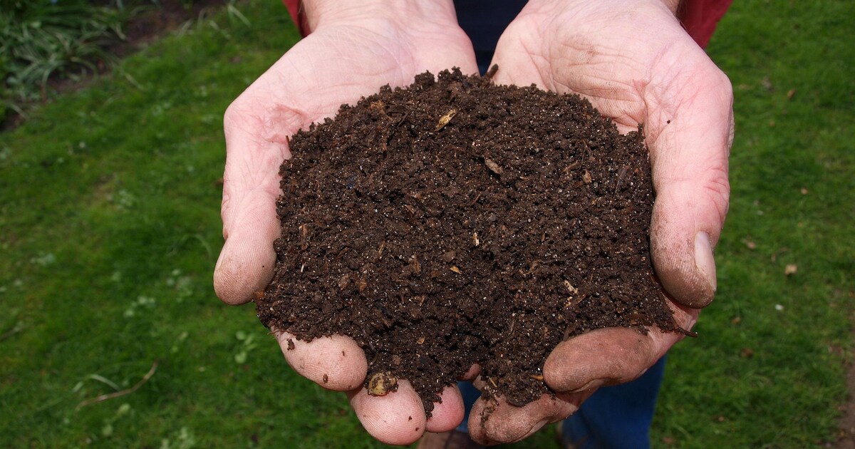 Baarle-Nassau deelt compost uit aan inwoners, milieupas verplicht