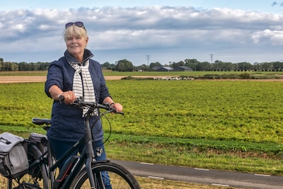 Fietsen tussen de bijen: recreanten voelen zich opgejaagd in de Biesbosch