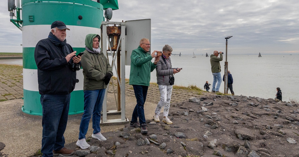 Vanaf de wal in Hansweert meegenieten met de Antwerp Race: ‘Ik hou van water, maar niet van boten’