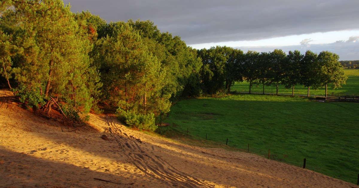 IVN houdt natuur- en cultuurhistorische wandeling door Huijbergen