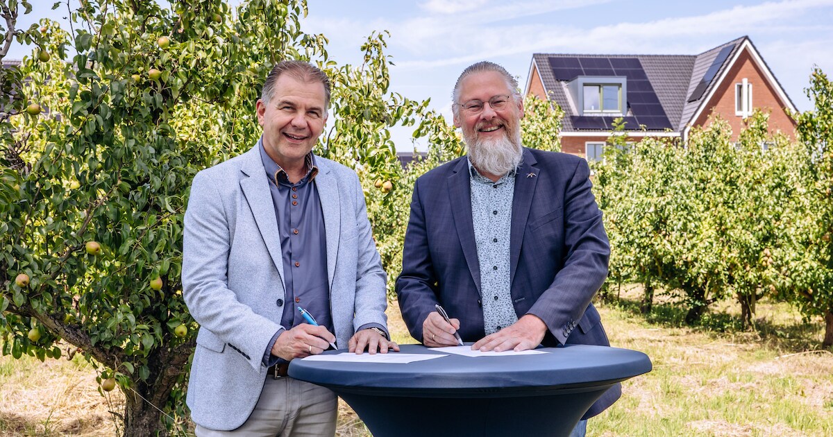 Historische perenboomgaardjes behouden in duurzame wijk Blom in Klaaswaal | Hoeksche Waard