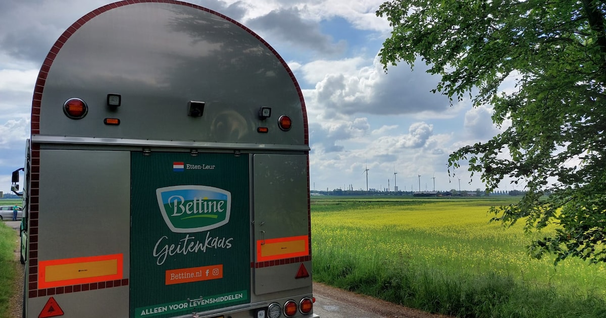 Graskuil waarin giftige en bijtende stoffen vrijkwamen nu bedekt met ...