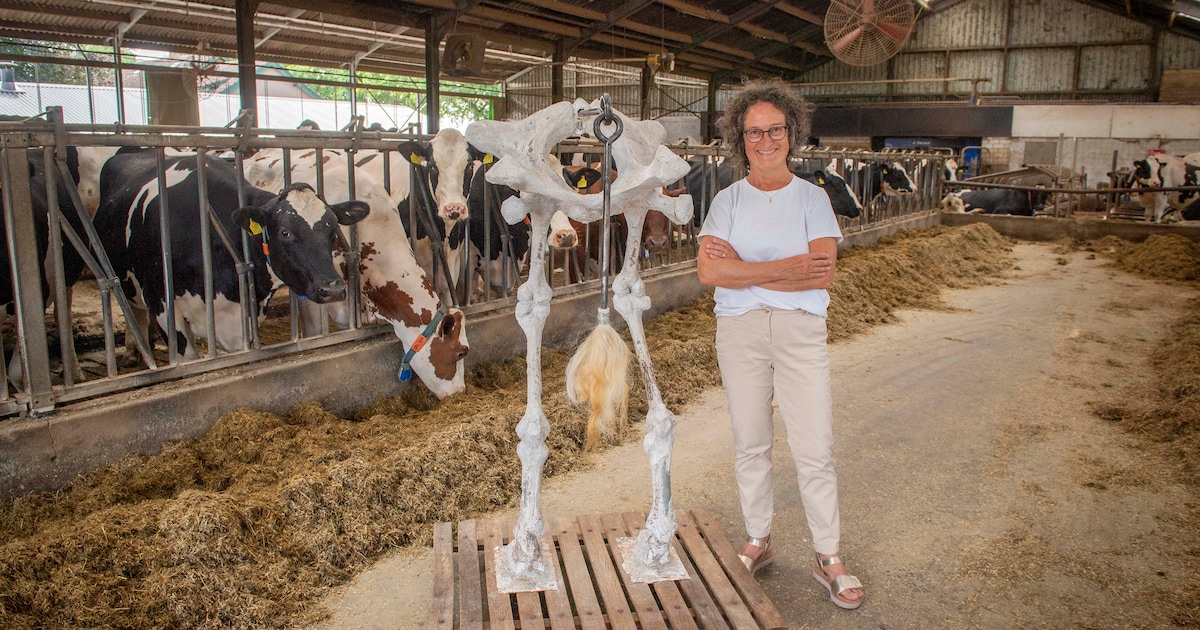 Waarom ex-boerin Marjan dit kunstwerk van het geraamte van een ...