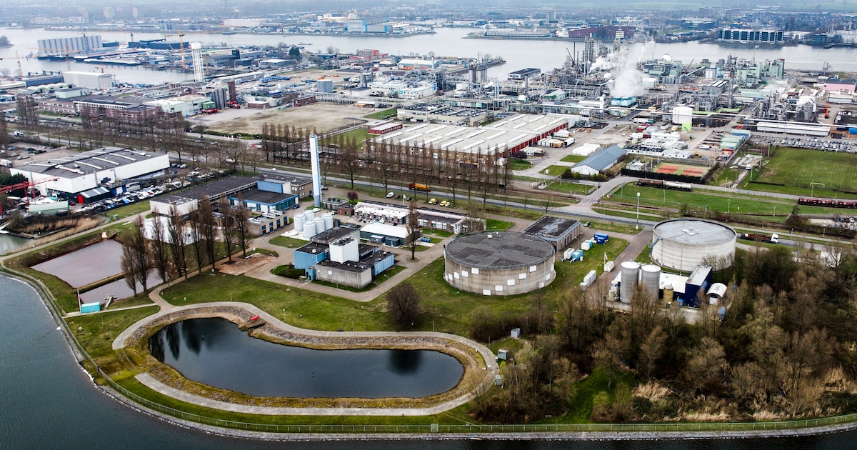 Drinkwatertarieven Evides omlaag: huishouden bespaart enkele tientallen euro’s