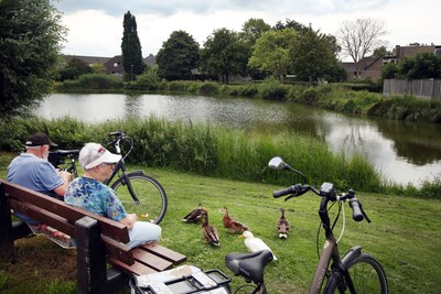 ‘Overbevolking van vissen’ in vijver Lage Zwaluwe zorgt voor massale sterfte; Brandput weer in de problemen