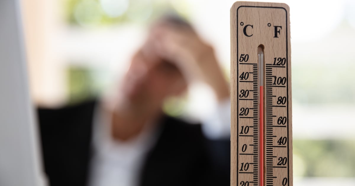 Warmste 14 augustus ooit gemeten: temperatuur steeg op meerdere ...