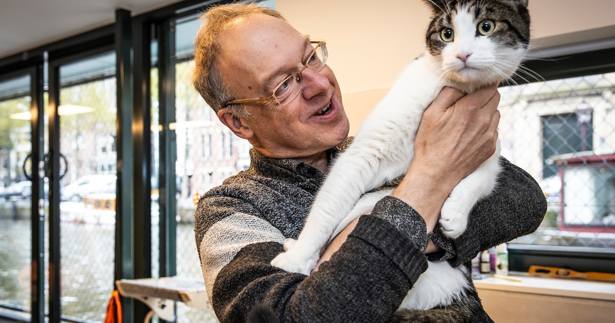 Bredase kattenprofessor weet het na diepgravend onderzoek zeker: ‘Ja, katten houden van mensen’