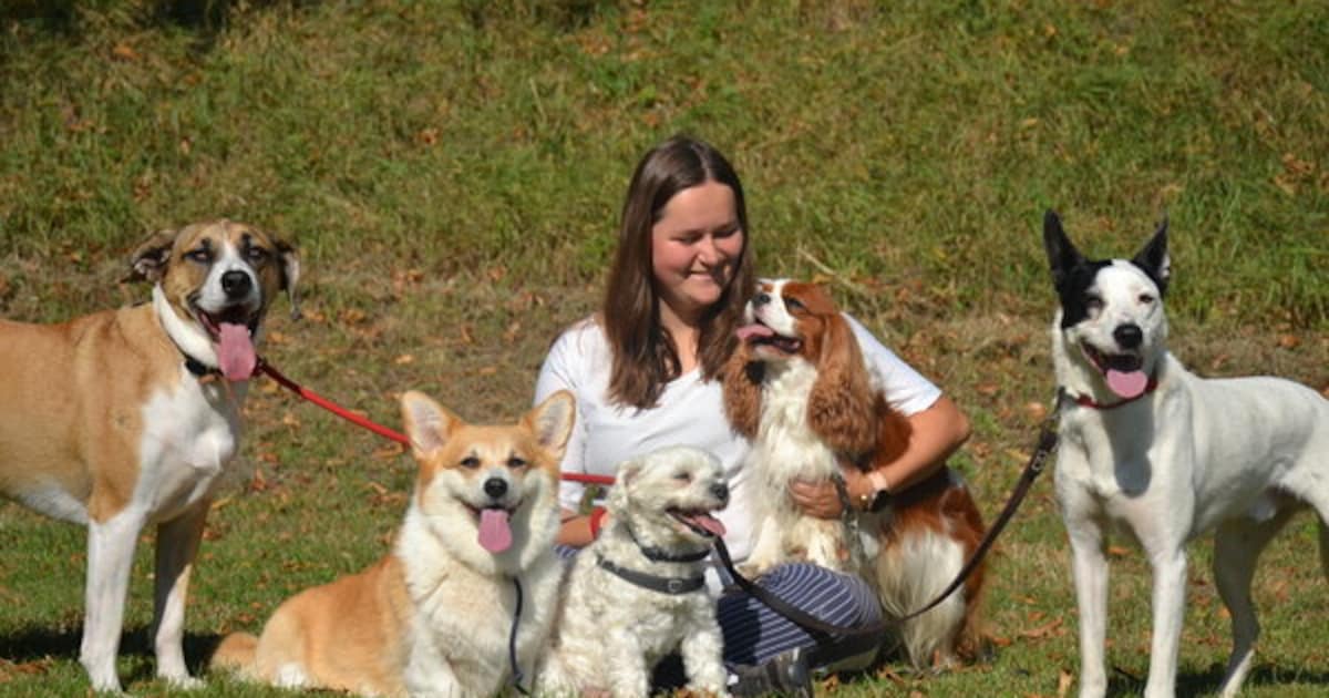 Mariska uit Willemstad vond particulier terrein om oppashonden uit te laten en is nu de koning te ri