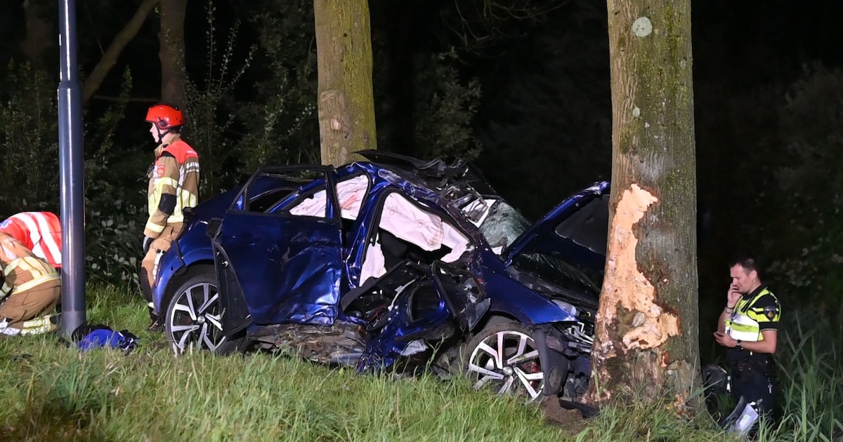 Gevaarlijk rijgedrag Rik (21) eist het leven van beste vriend Jos (22 ...