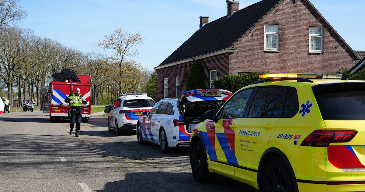 Motorrijder (67) overleden door botsing tegen boom in Chaam