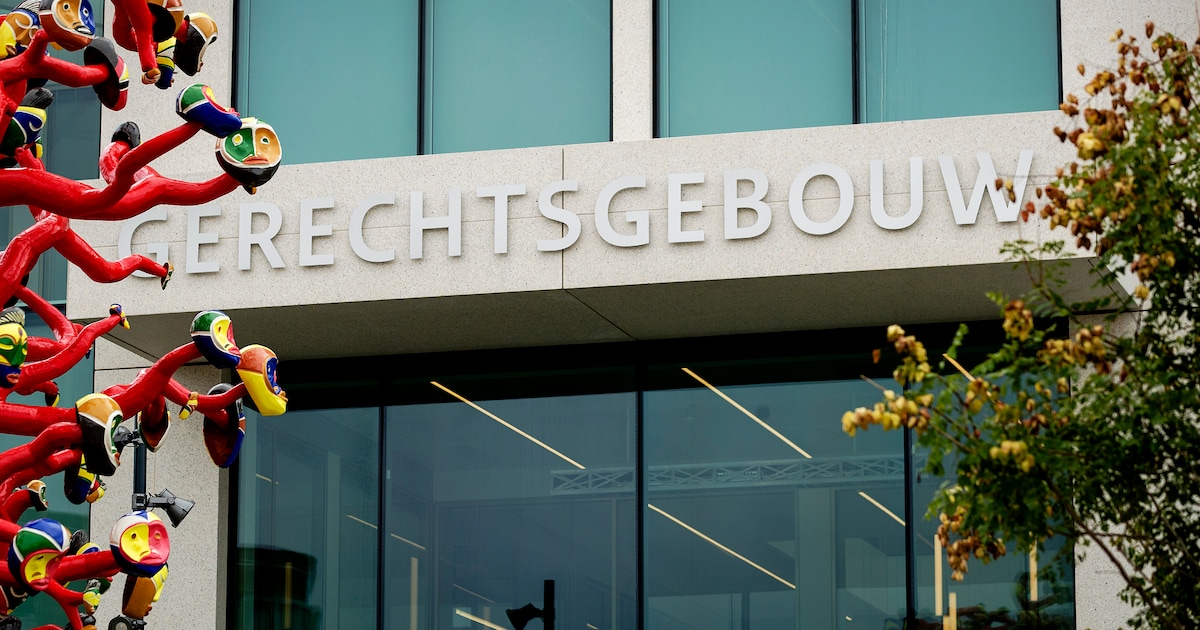 Nep-dakdekker die vele slachtoffers maakte in Brabant, kan zich weinig herinneren, maar ‘hij leefde 