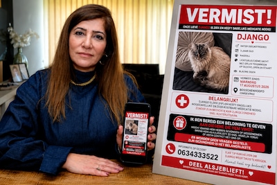 Zeynep looft 1000 euro uit voor verdwenen Django, dan meldt zich een mysterieuze tipgever