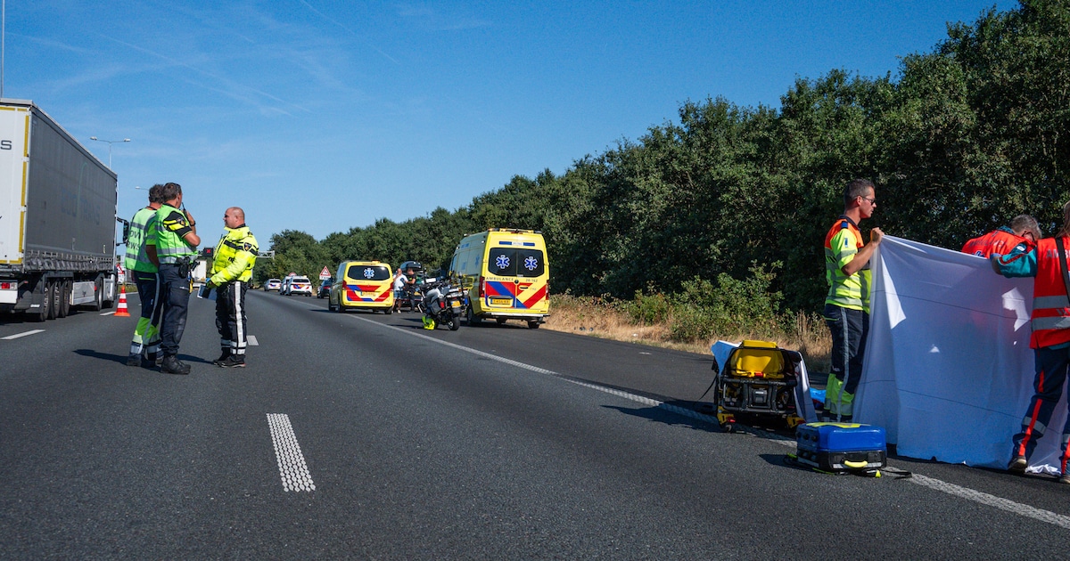 Vrouw aangereden door vrachtwagen nadat ze stopte bij ongeluk op A58, chauffeur rijdt door