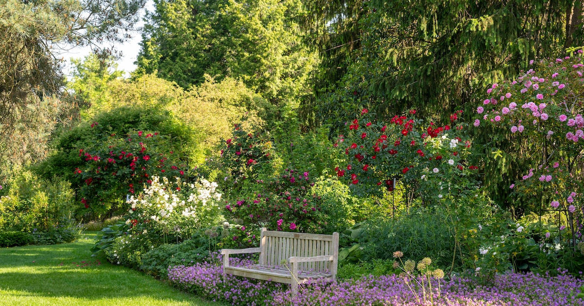 Arboretum Kalmthout vormt decor van jaarlijkse landschapsstage in Kalmthout