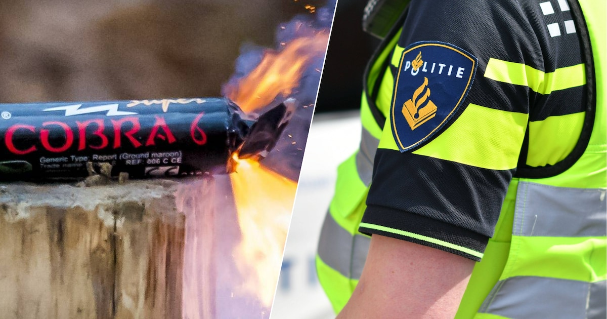 Oosterhouter (36) aangehouden na vondst van ruim 825 kilo vuurwerk
