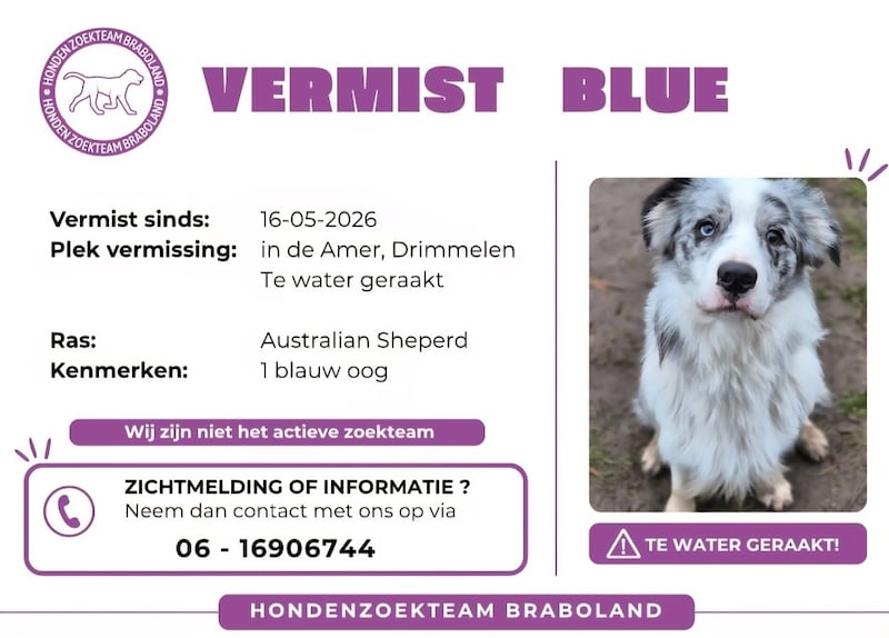 De oproepposter voor de vermissing van Blue. 