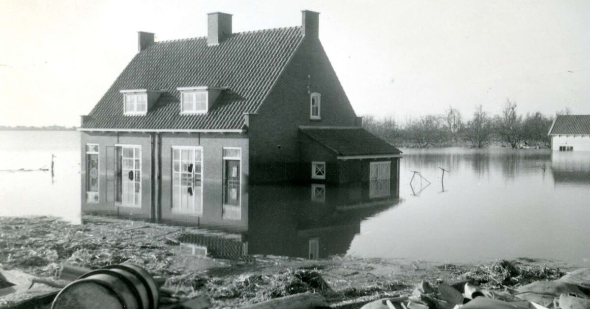 Foto's en voorwerpen bij expositie over Watersnoodramp in Simonshaven