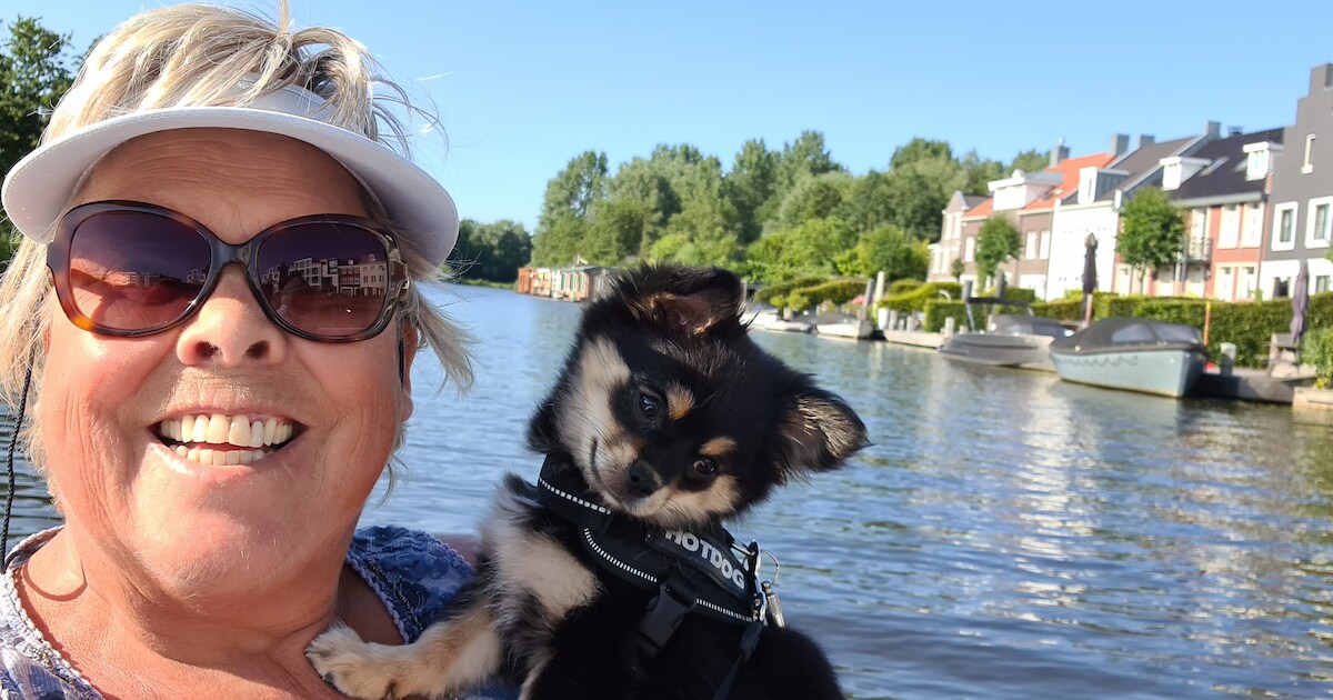 Hoger beroep tegen vrijspraak voor verdachte wiens hond puppy Bayke en ...