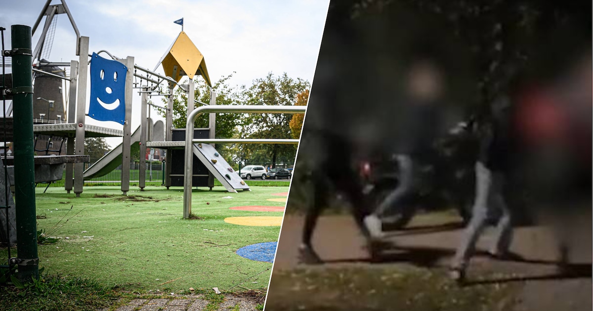 Jongen (17) die vrouw sloeg in Raamsdonksveer, krijgt doodsbedreigingen binnen: ‘Dit is een heksenja