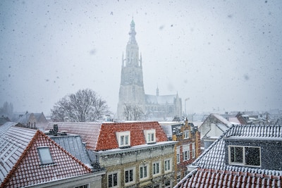 Breda omhelst eigen erfgoed, maar dat vindt niet iedereen: ‘Jongeren en nieuwkomers zitten niet in d