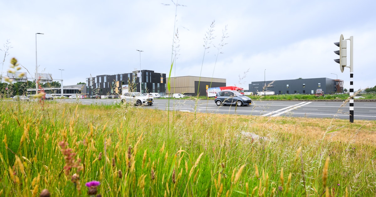 Stroomnet zit vol, dus moet bedrijventerrein Breda deels door op gas: ‘Heel teleurstellend’