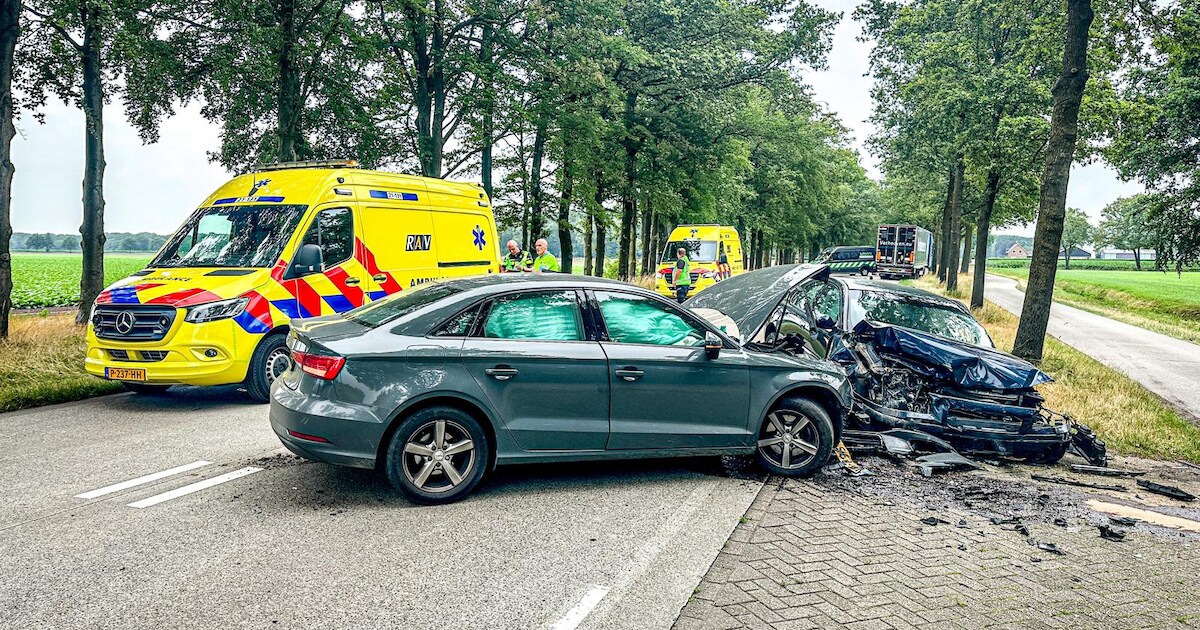 Veel schade bij ernstig ongeluk in Elsendorp, vrachtwagen lekt diesel