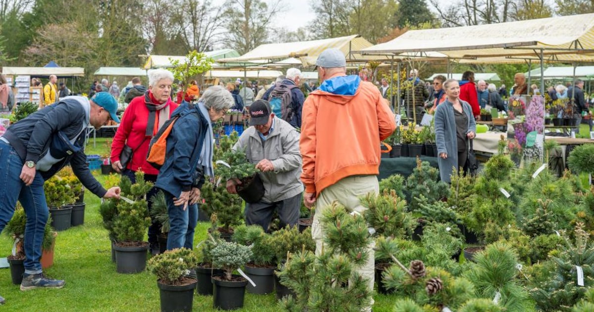 Plantendag in Arboretum Kalmthout: snuisteren voor tuinliefhebbers