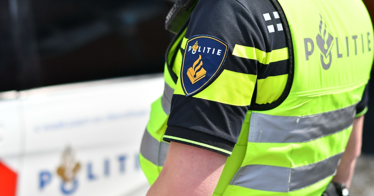 Politie trekt wapen tijdens aanhouding bij Wilgenbos
