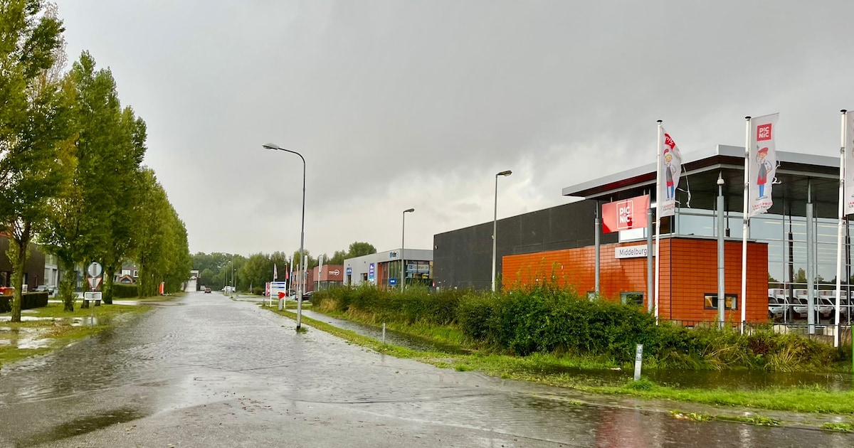 Verkeerde bedrijven op Mortiere: ‘Ze kunnen daar niet blijven’ | Regio ...