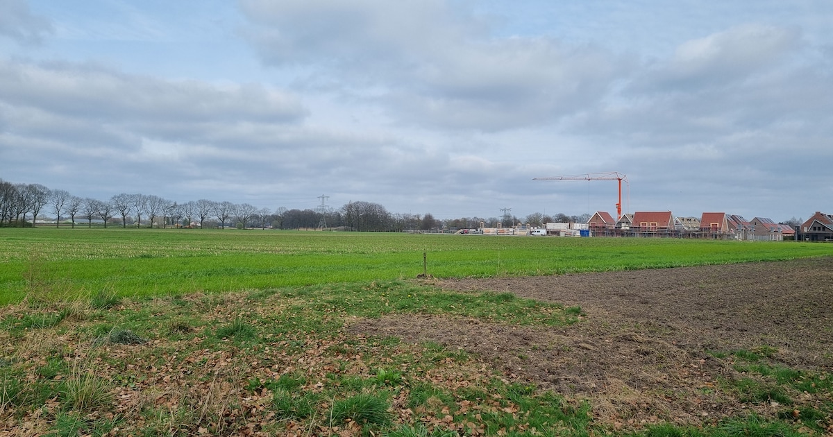 Nieuwe woningen in Duizel-Noord: ruimte voor senioren en voor samen bouwen