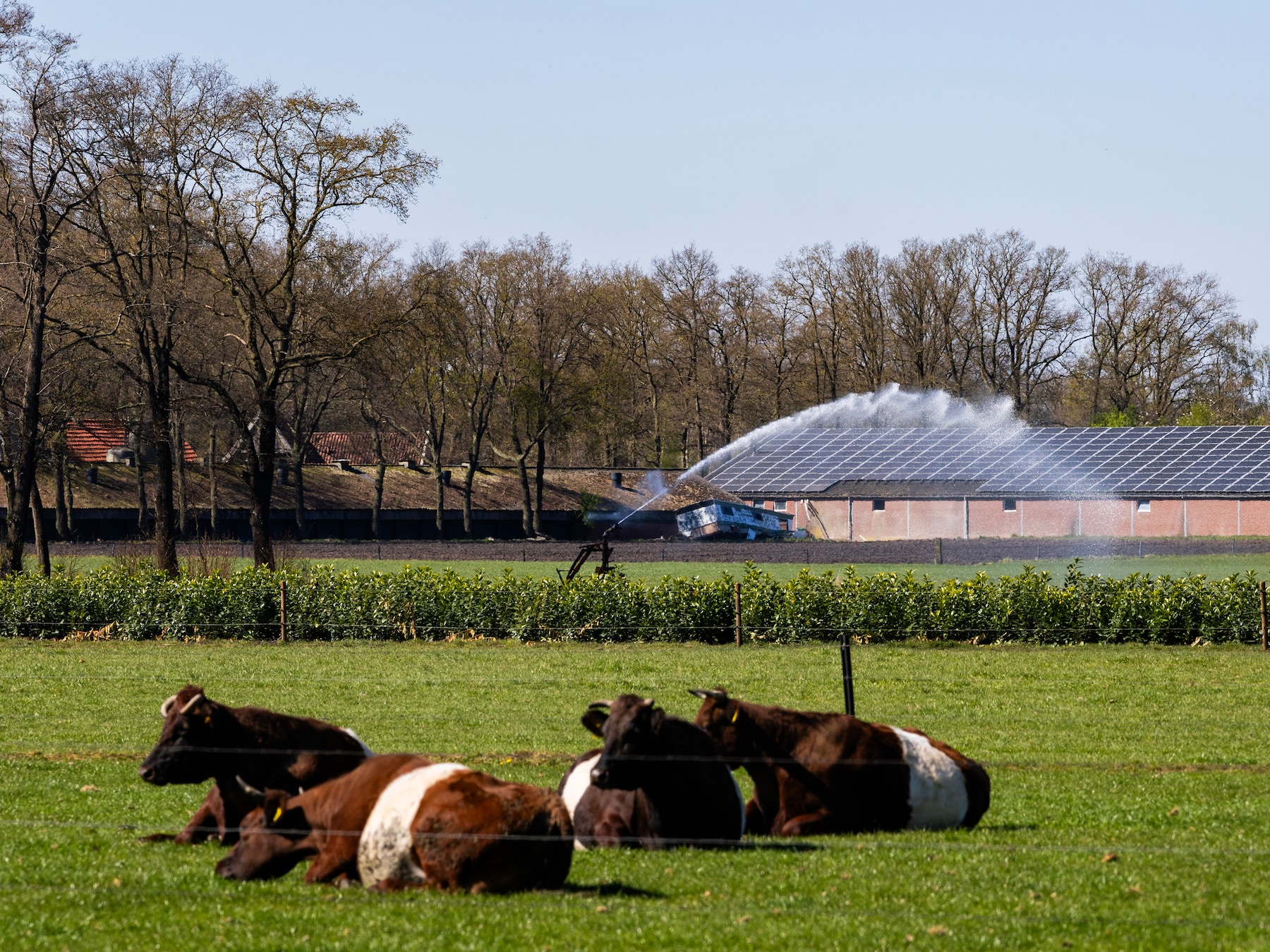Het is nu alweer superdroog, hoe erg is dat? ‘Situatie begint zorgelijk te worden’ 