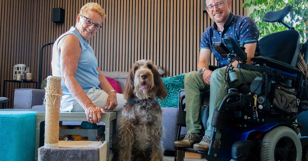 De bekendste hond van Nederland komt uit Bergen op Zoom, nieuwe winkel en meer