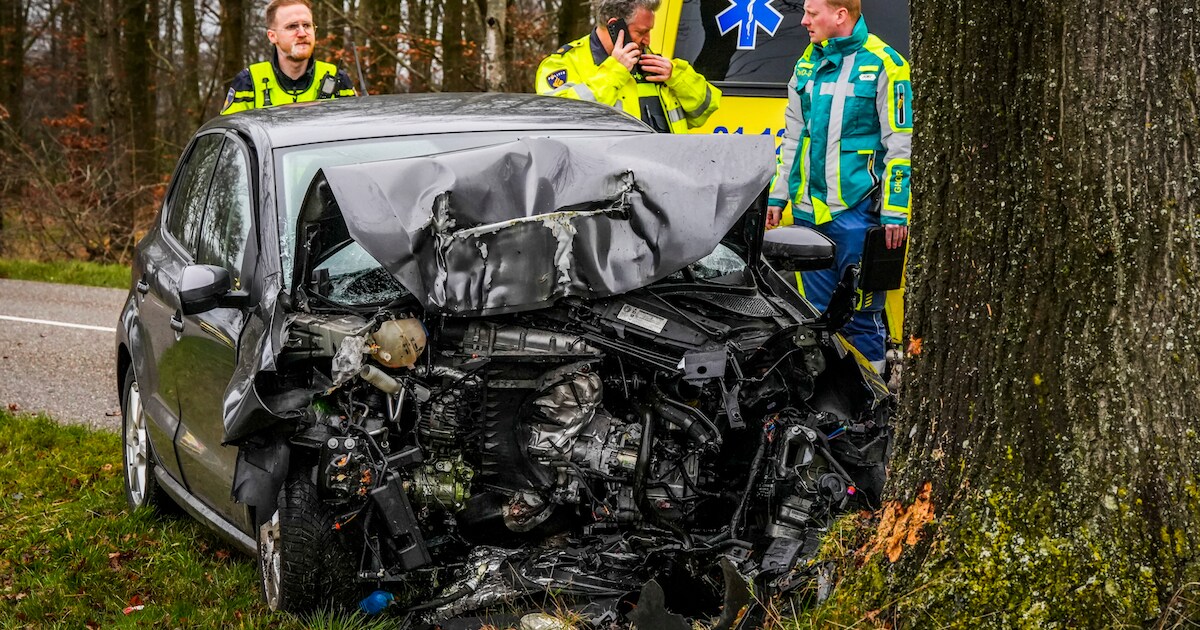 Auto botst frontaal tegen boom in Mariahout, traumahelikopter geland