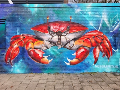 Ode aan de krab: hier in Bergen spot je een giga exemplaar op de muur