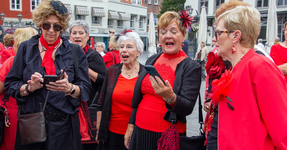 Volgend jaar zijn ook Belgen welkom op Korenfestival in Bergen op Zoom: ‘We willen er jongeren bij h