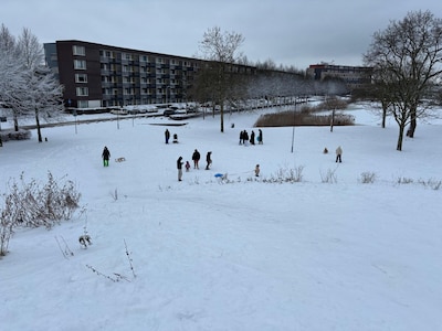 Video: Let it snow! Zo vermaken Bredanaars zich in de sneeuw