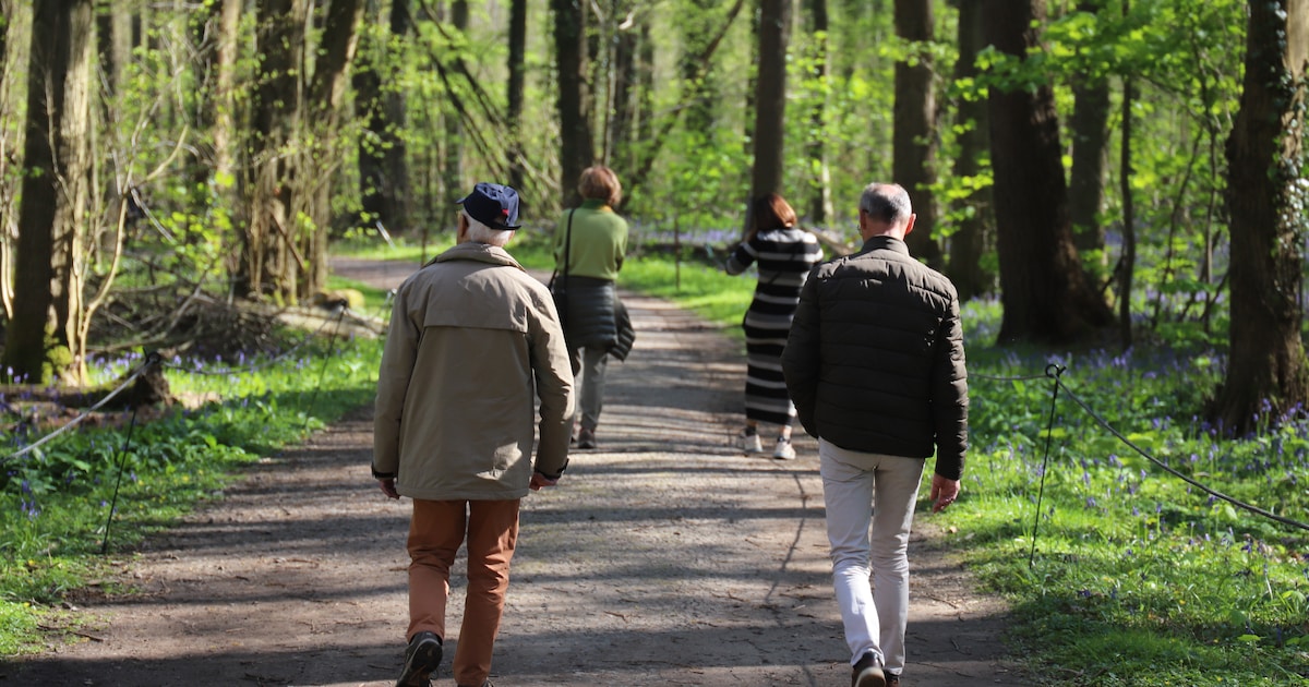 Ga samen op wandel met ‘Rap op Stap’ in Kalmthout