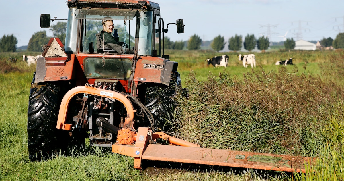 Jan Rasenberg: ‘Natuurinclusief boeren vergt een omschakeling die jaren ...
