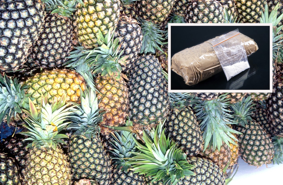 Cocaïne wordt vaak gesmokkeld in containers met tropisch fruit, zoals ananas. Dat zou in het onderzoek Francis Drake ook zijn geconstateerd.