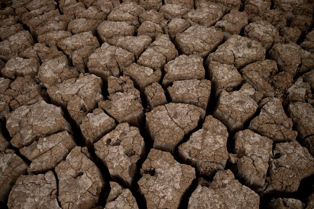 Een droge rivierbodem in het zuiden van Spanje, als gevolg van langdurige afwezigheid van neerslag. Klimaatexperts zien een toename van droogte en hittegolven door klimaatverandering.
