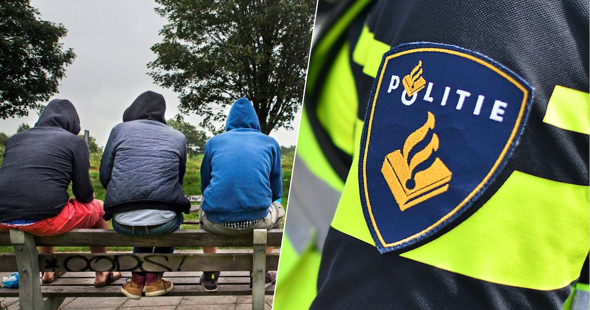 Jongen zegt respectvol ‘ik praat toch netjes met u?’, maar agent ziet ...