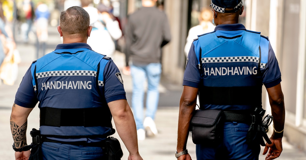 Raadslid: ‘Onzichtbare’ boa’s in Nissewaard moeten snel gebeld kunnen worden