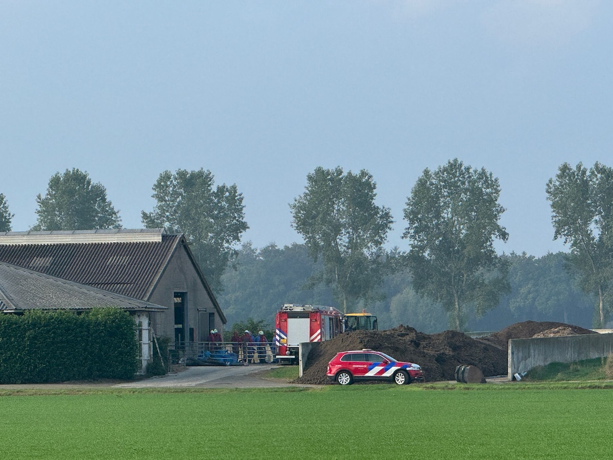 Dieren gered uit gierput.