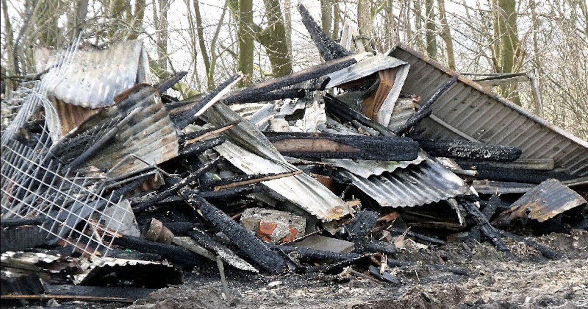 Brand in oude kippenschuur Lepelstraat | Foto