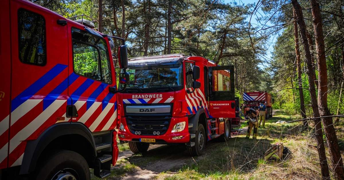 Brand in natuurgebied tussen Oirschot en Middelbeers waar pas ook al brand woedde